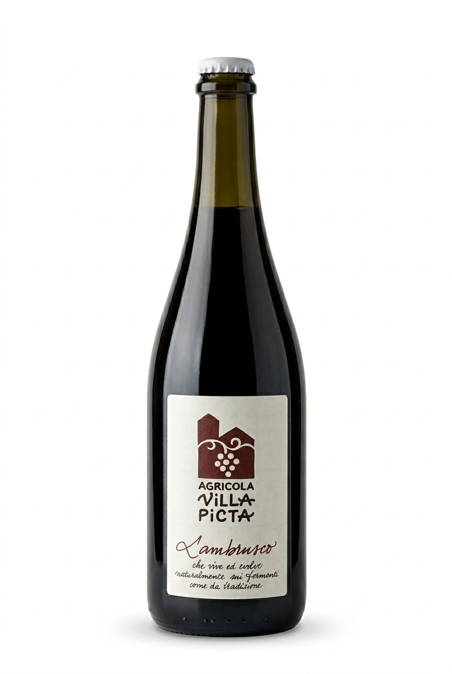 Lambrusco 2022 Villa Picta
