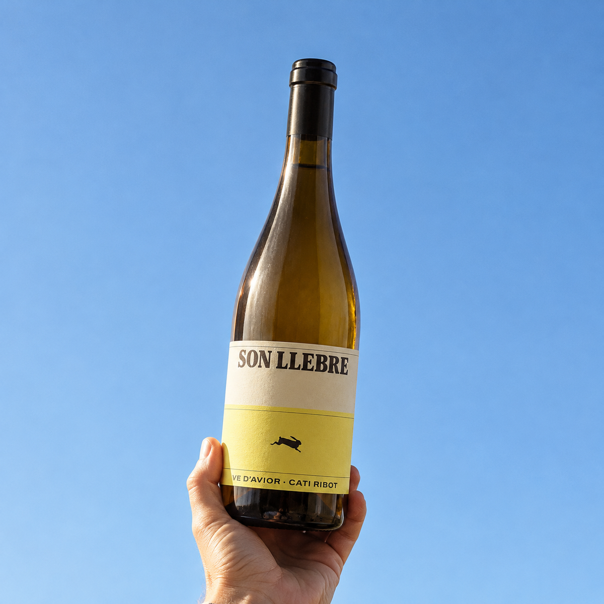 Son Llebre Blanc 2023 – Cati Ribot – fotografia ambientata della bottiglia