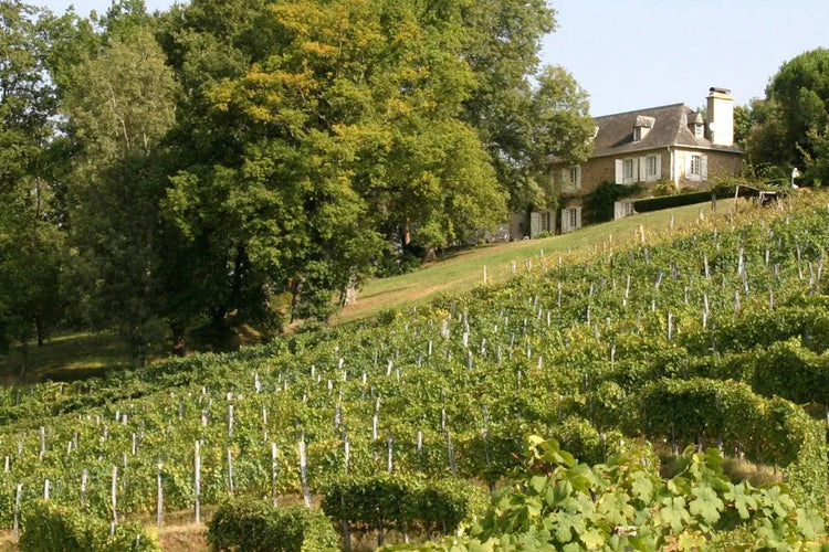 Colline vitate di Jurançon, ai piedi dei Pirenei