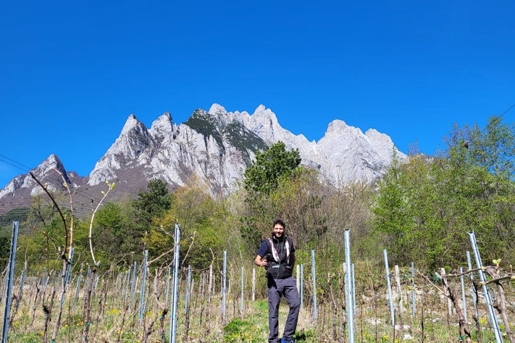 Vigne in Val Camonica sotto la Concarena