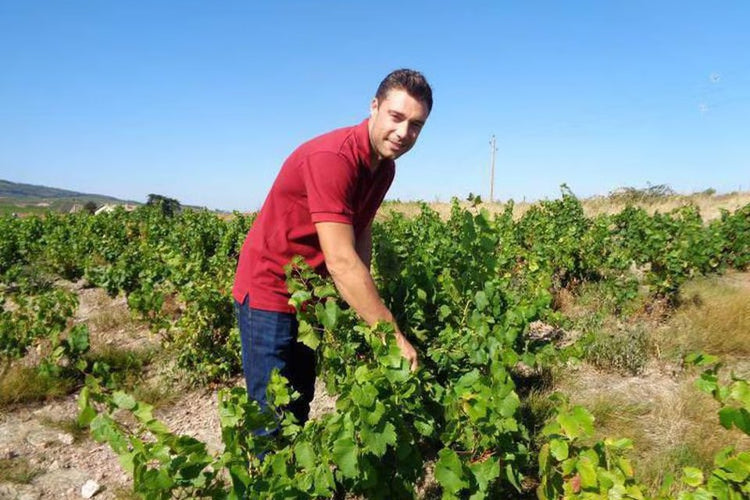 Yohan Lardy in vigna, Beaujolais