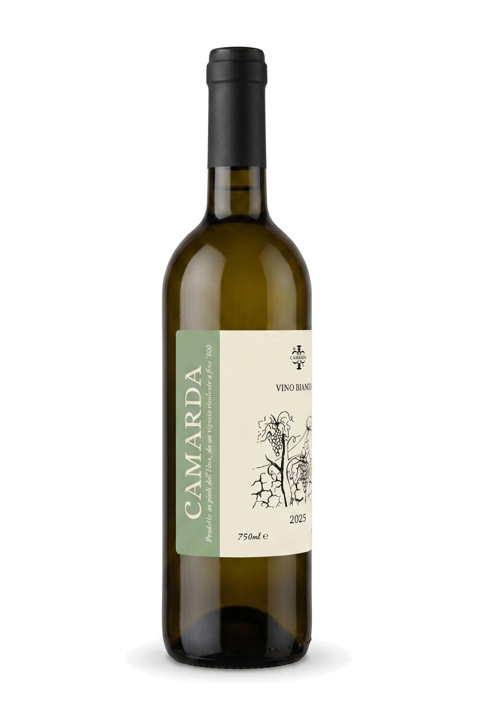 Camarda Bianco 2025 – Camarda