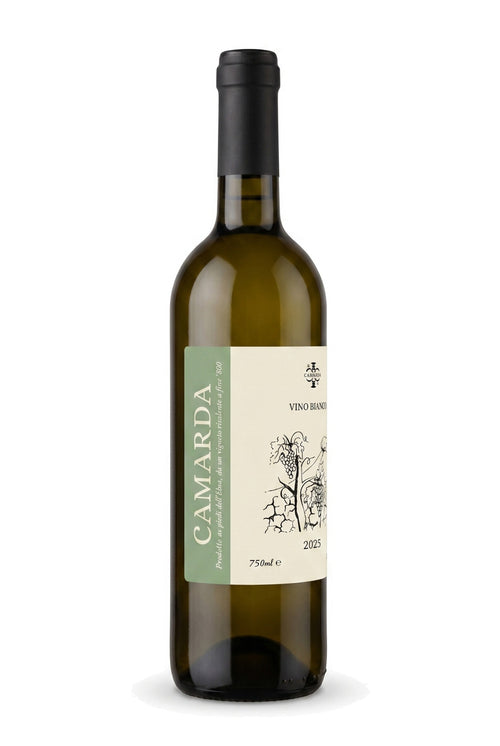 Camarda Bianco 2025 – Camarda