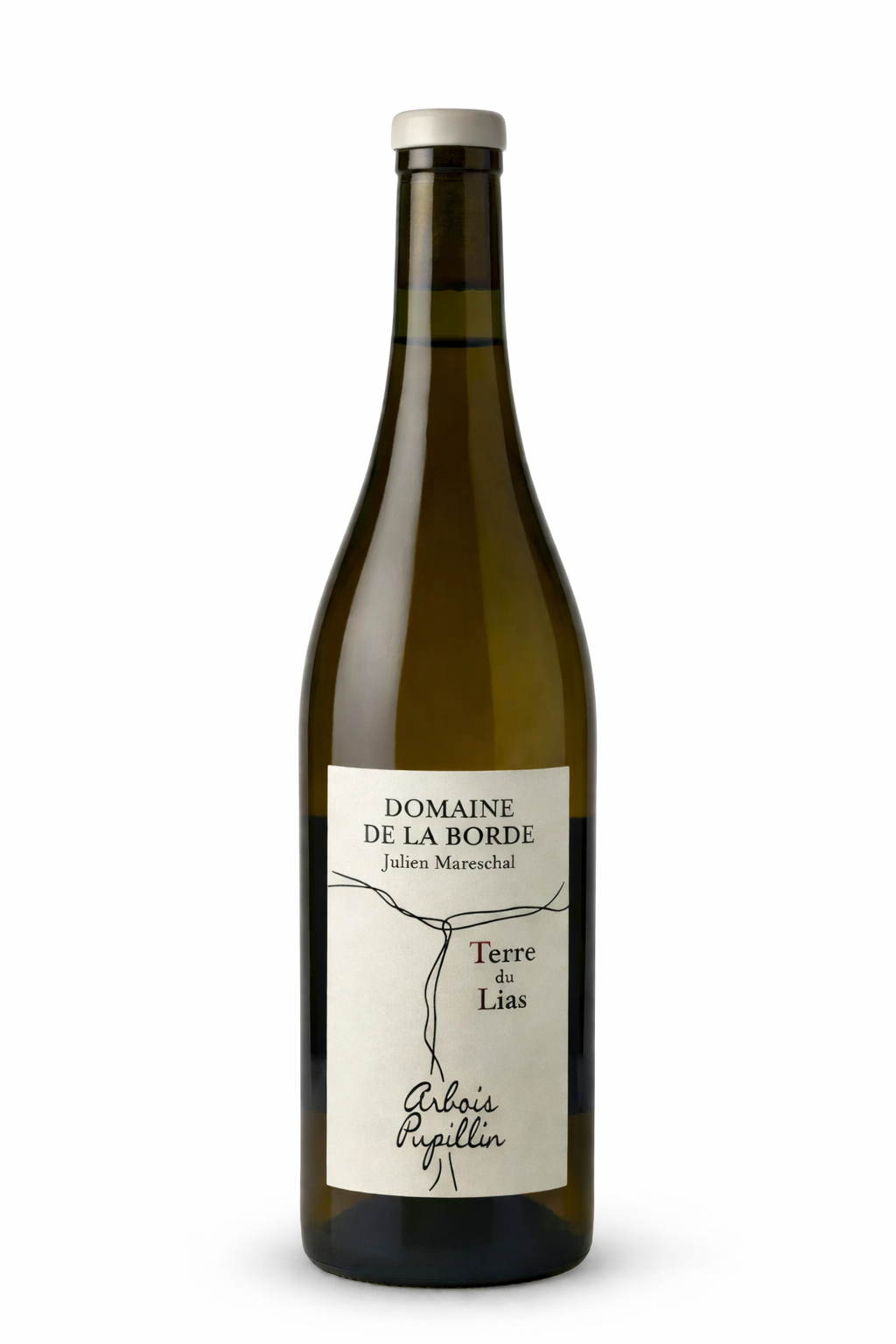 Terre du Lias 2023 – Domaine de la Borde