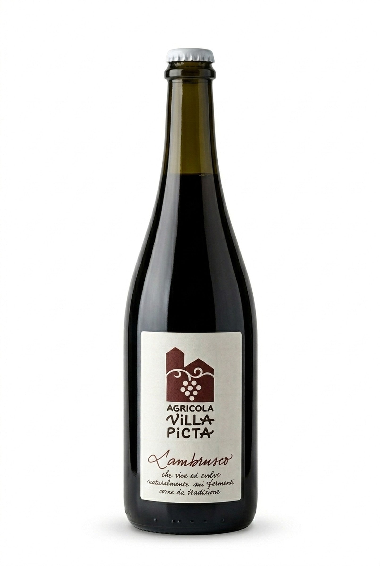 Lambrusco 2022 Villa Picta