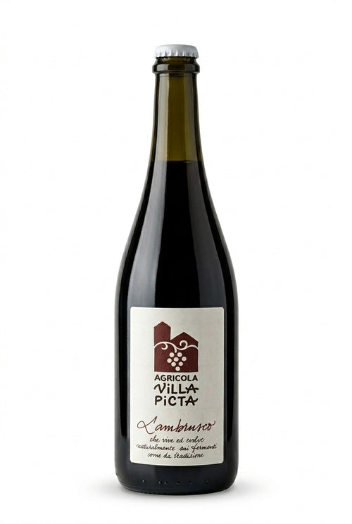 Lambrusco 2022 – Villa Picta