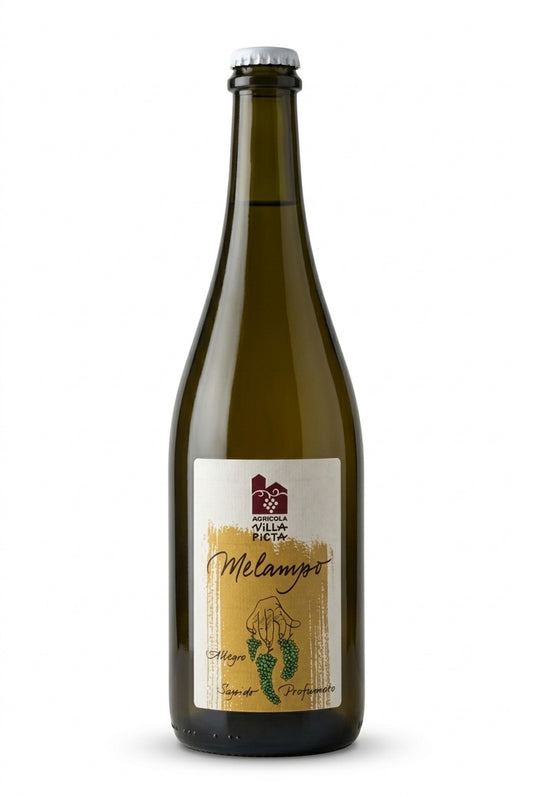 Melampo 2022 Villa Picta