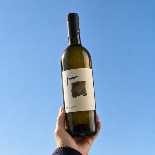 Fiano 2022 – Pietracupa – fotografia ambientata della bottiglia