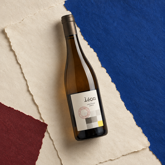 Léon 2022 – Domaine des Bottes Rouges – fotografia ambientata della bottiglia
