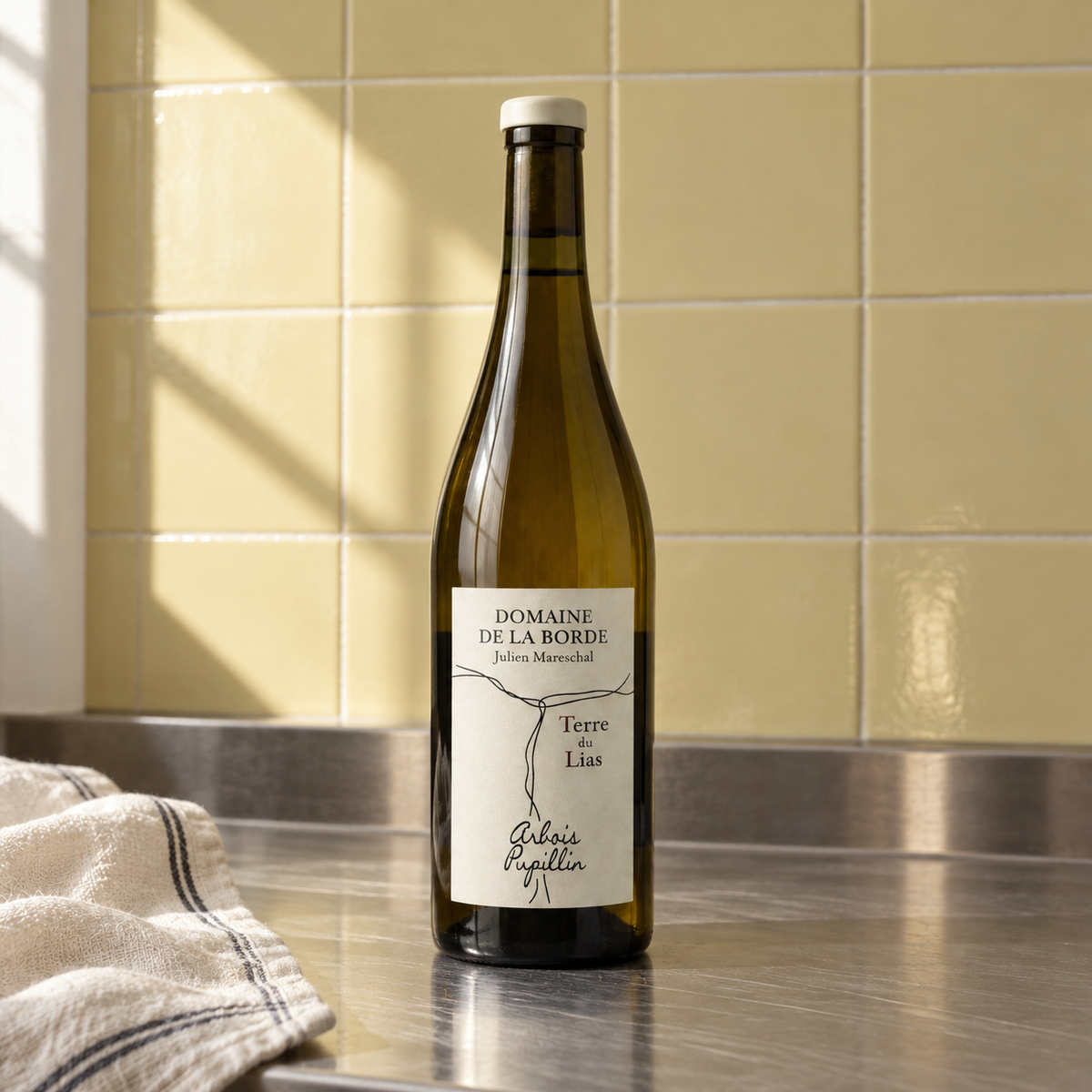 Terre du Lias 2023 – Domaine de la Borde – fotografia ambientata della bottiglia
