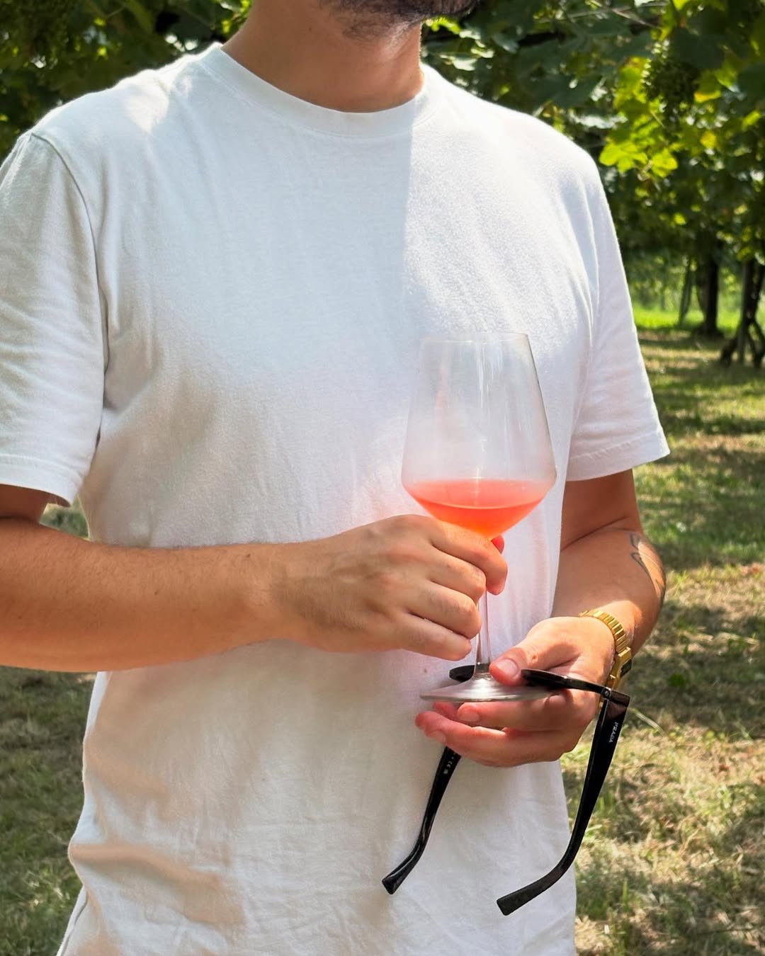 Sognare! Sognare!, Villa Picta – il rosato nel calice